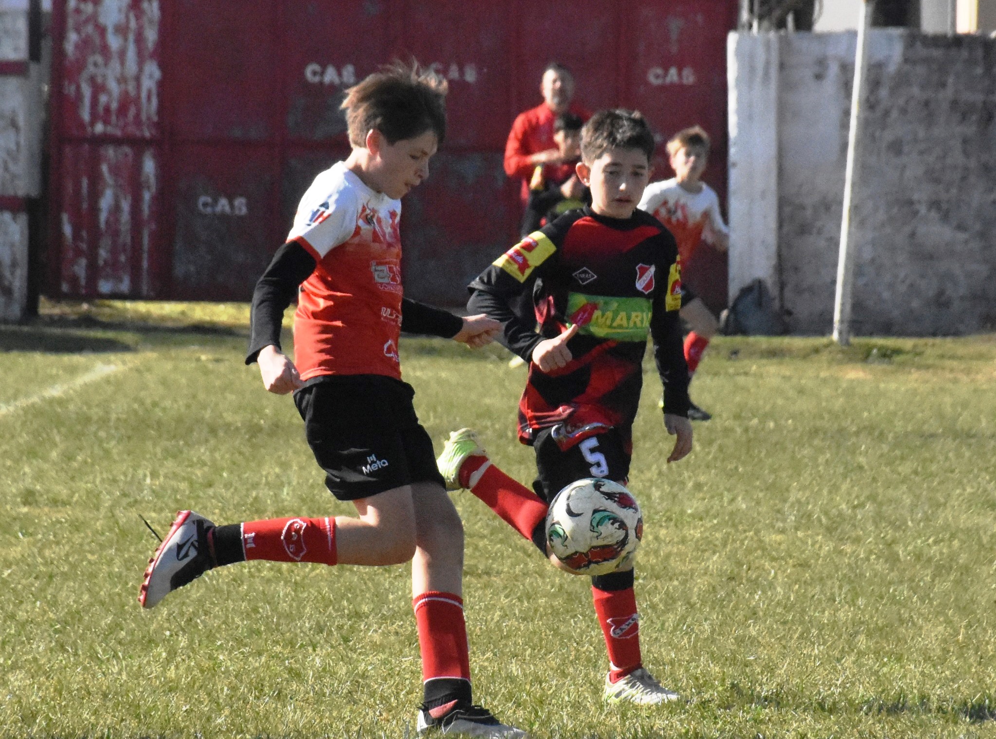 LOS SEMIFINALISTAS DEL TORNEO INFANTIL